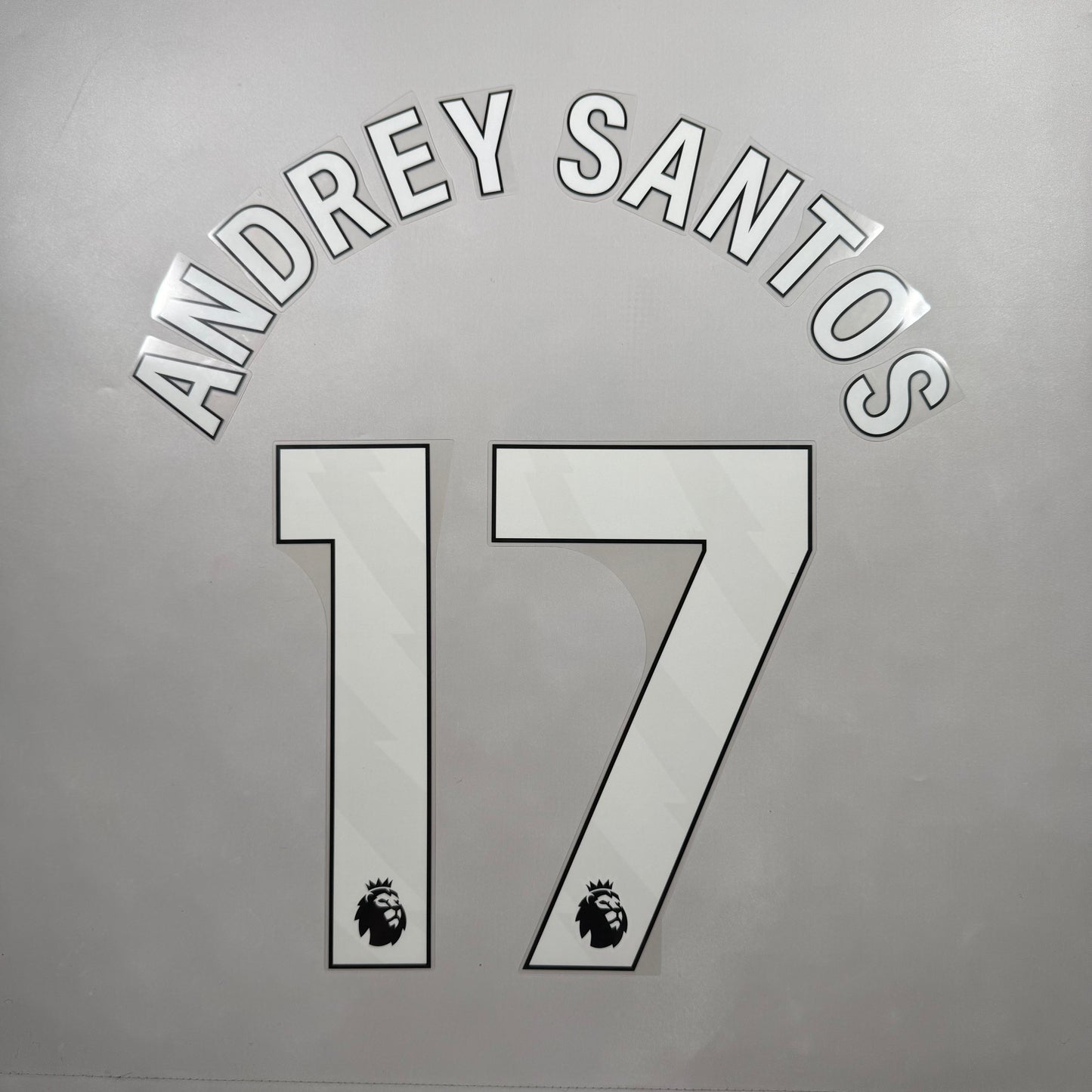 Official 25/26 Chelsea FC Home English Premier League Name and Number set
