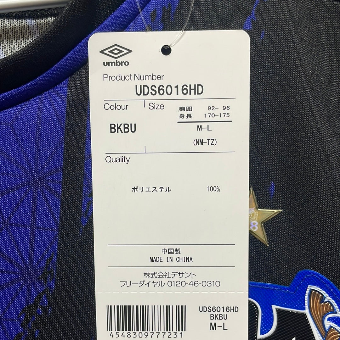 Gamba Osaka AFC Champion League