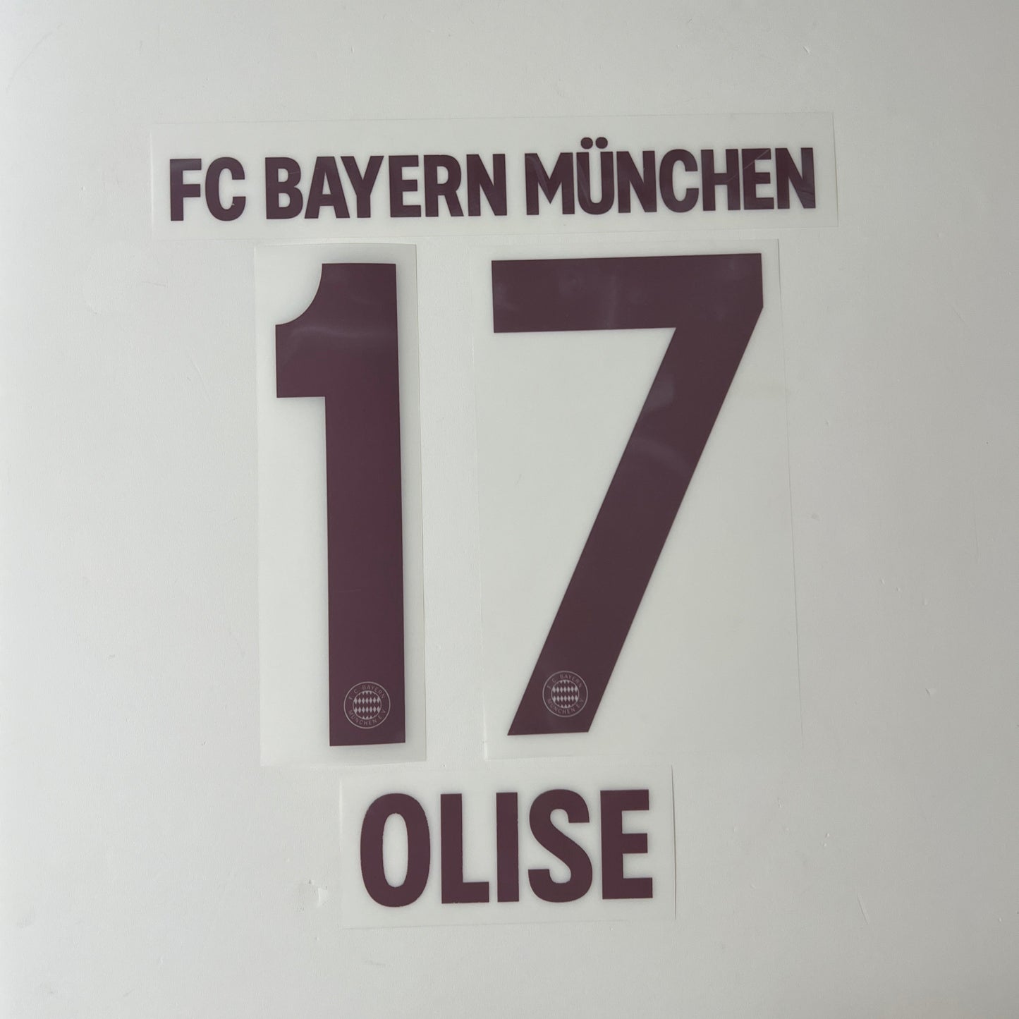 24-25 Bayern Munchen 3rd Special Edition