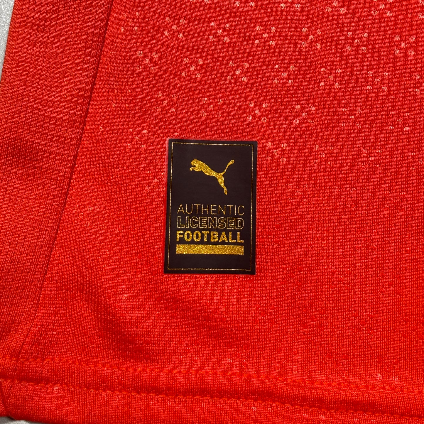 Official #21 Diogo J. Obrigado Para sempre  2024  Portugal Home Stadium Shirt