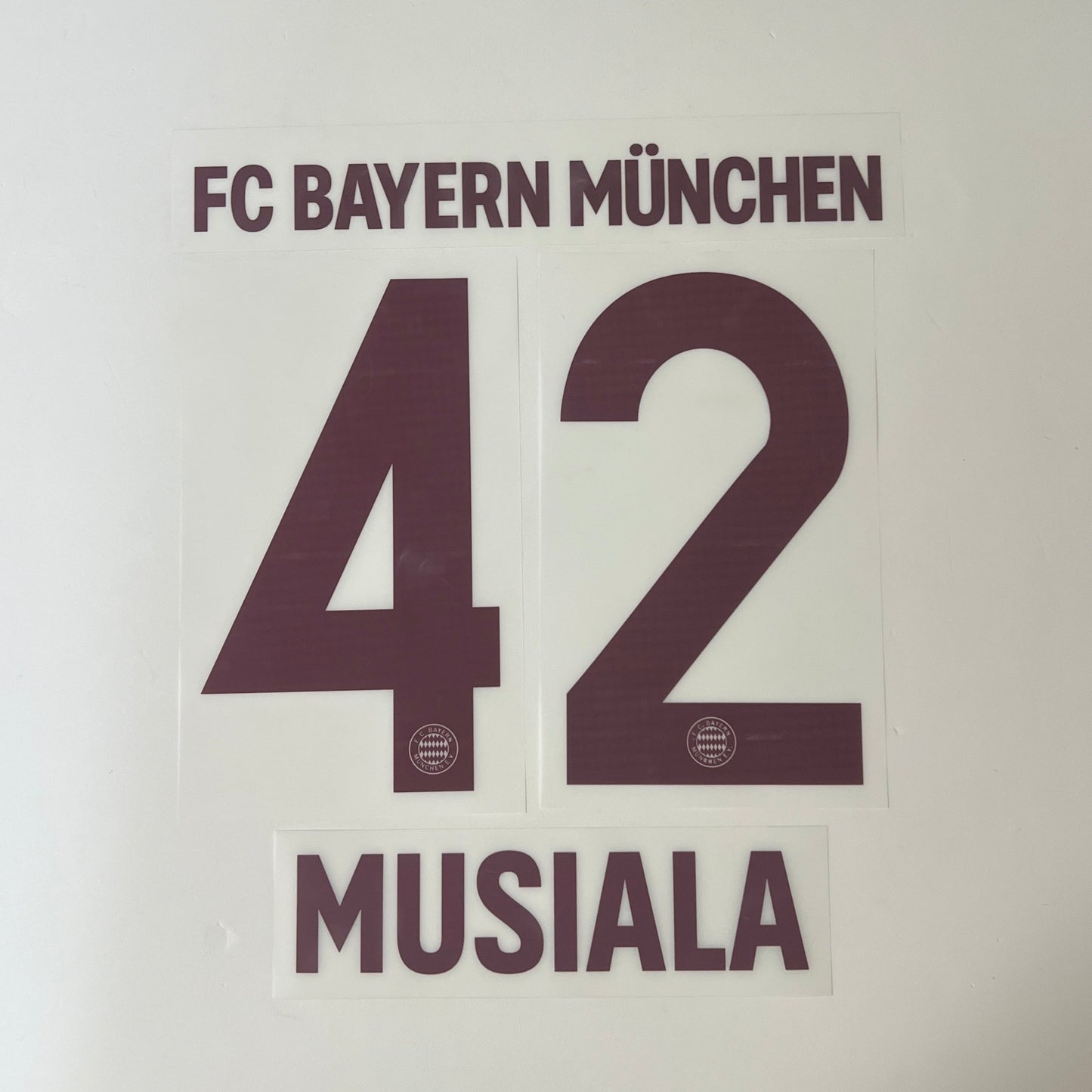 24-25 Bayern Munchen 3rd Special Edition