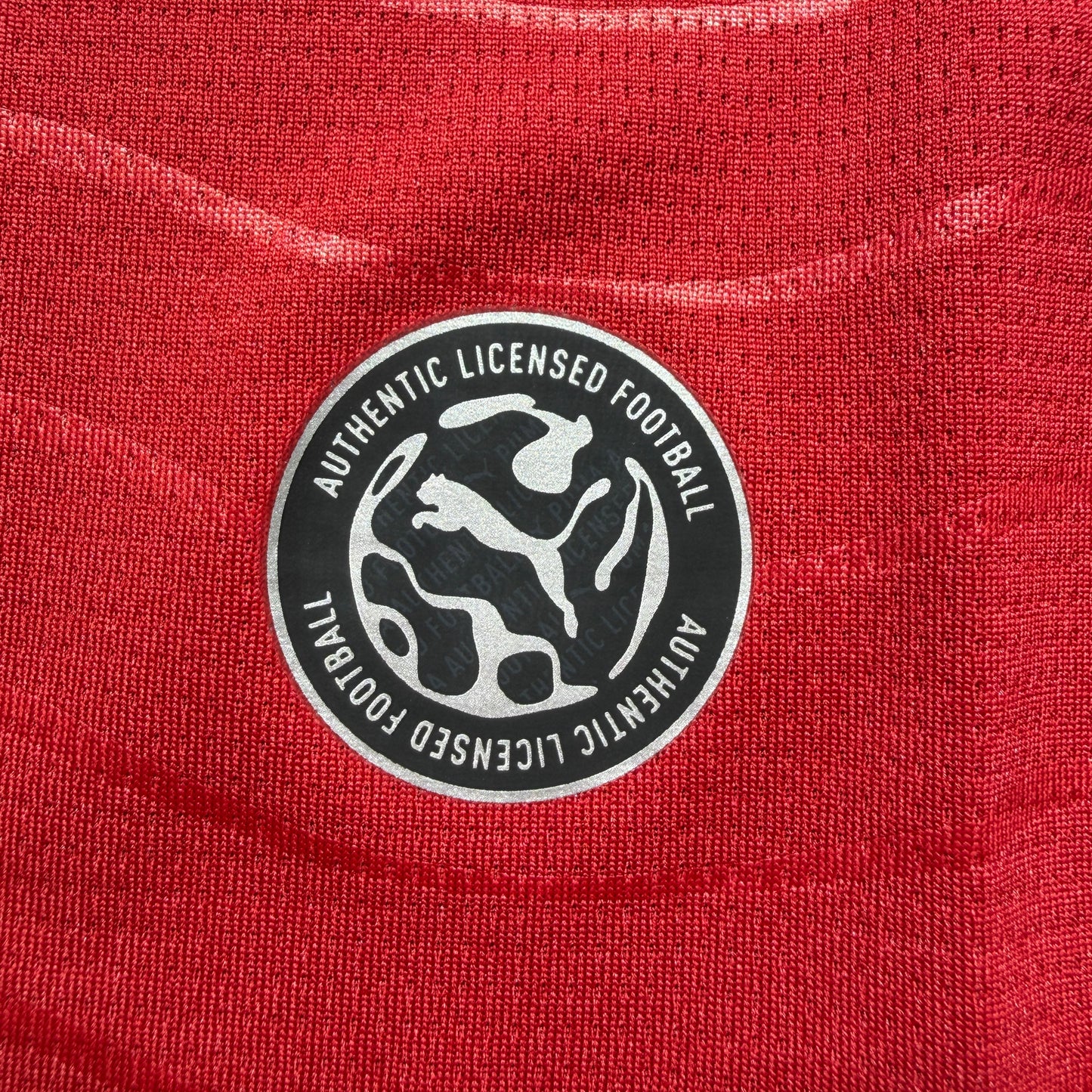 Official 2026 Portugal Home Stadium Shirt  Long Sleeve