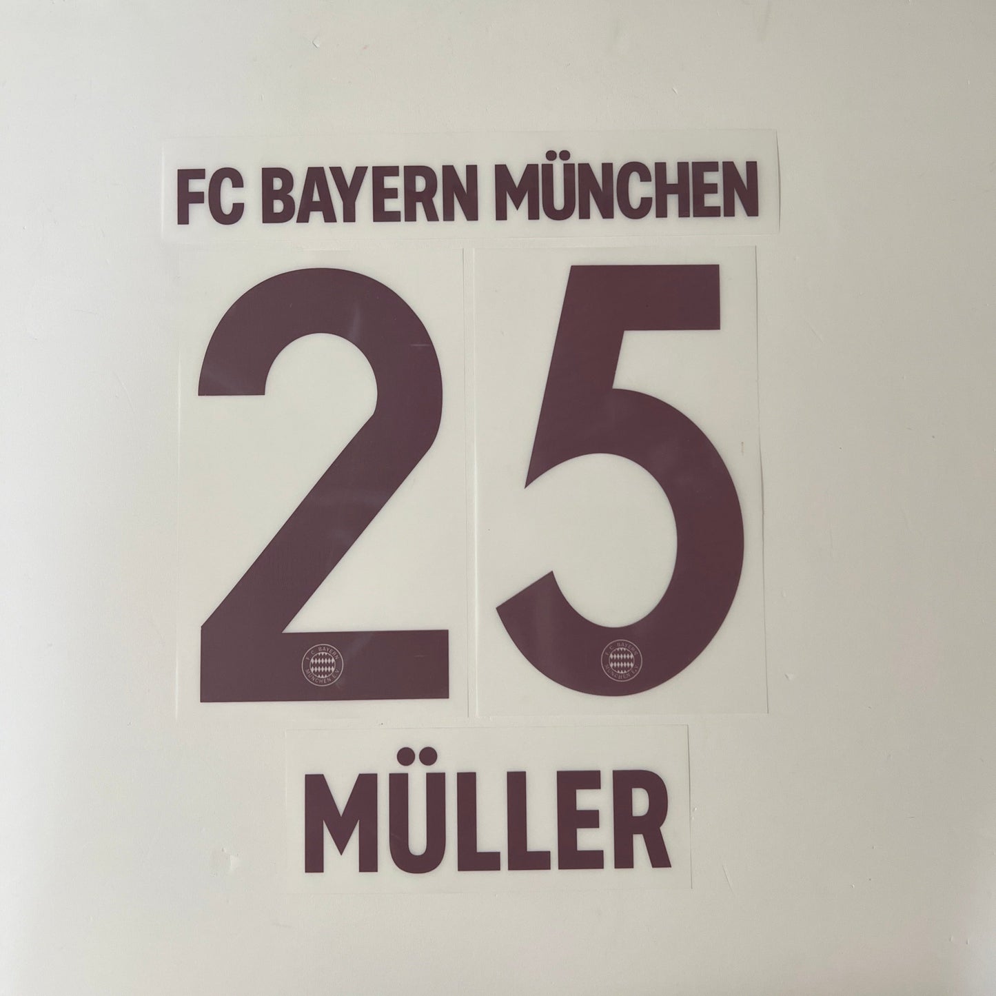 24-25 Bayern Munchen 3rd Special Edition