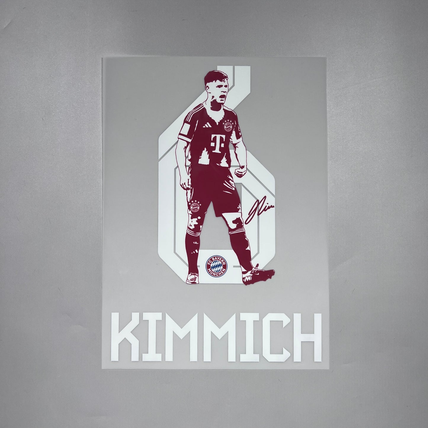 Official #6 Kimmich 25/26 FC Bayern Munich Home (Special) Name and Number set