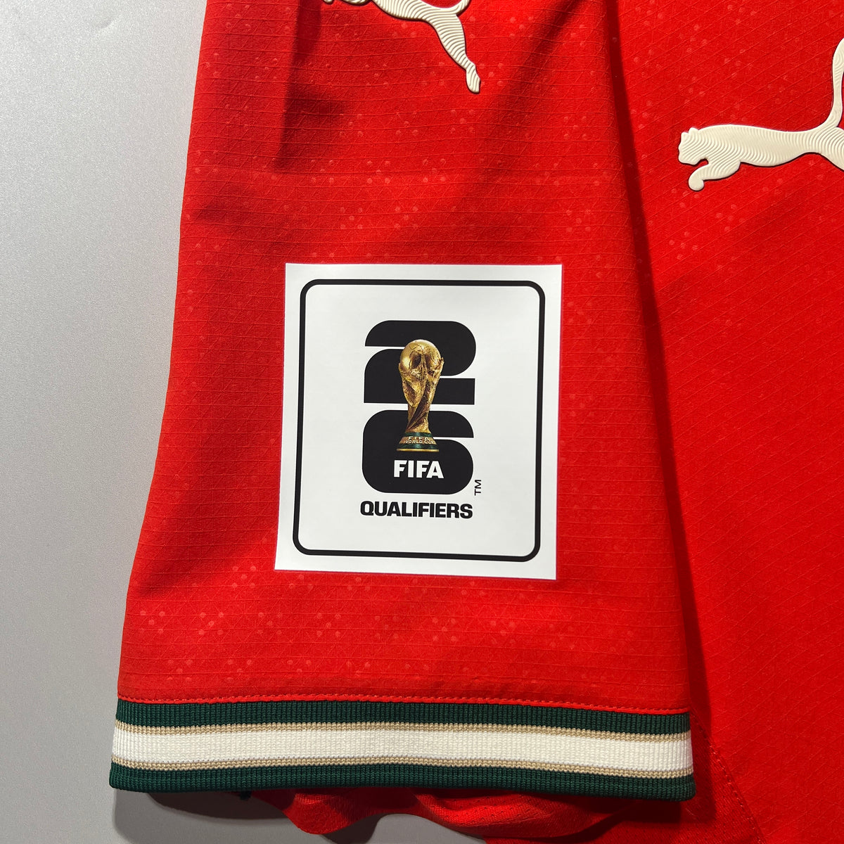 Official #7 Ronaldo 2025 Portugal Home Authentic Shirt Puma 780766_01